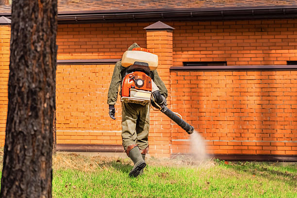 Trusted Fumigation Services service in Old Westbury, NY - Nex Pest Control